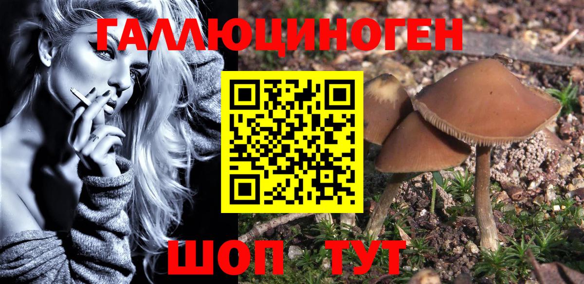 Галлюциногенные грибы Magic Shrooms Калуга