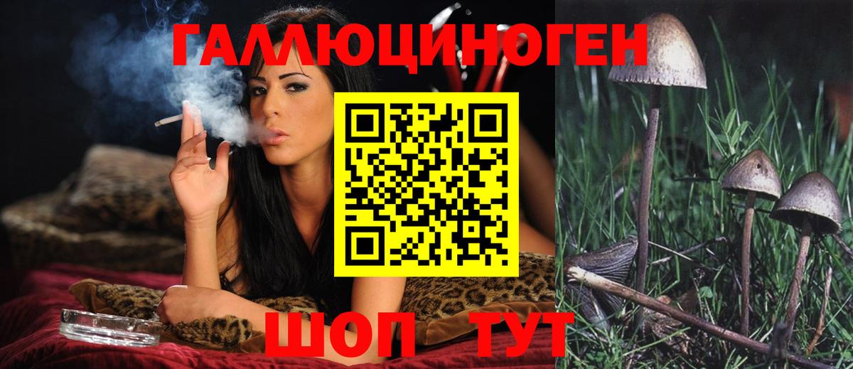 Калуга  Галлюциногенные грибы мухоморы  Вход с VPN  Псилоцибиновые грибы Psilocybine cubensis 